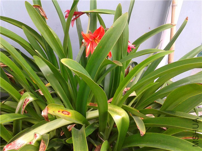 2015-08-18 11.13.44.jpg