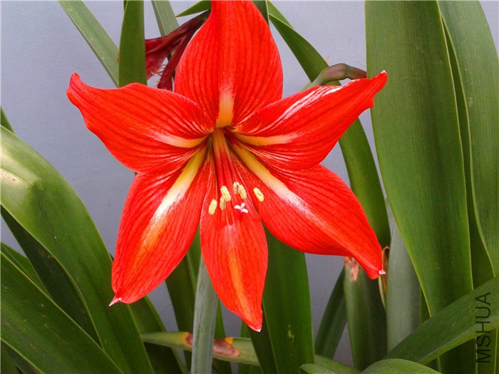 2015-08-18 11.13.51.jpg