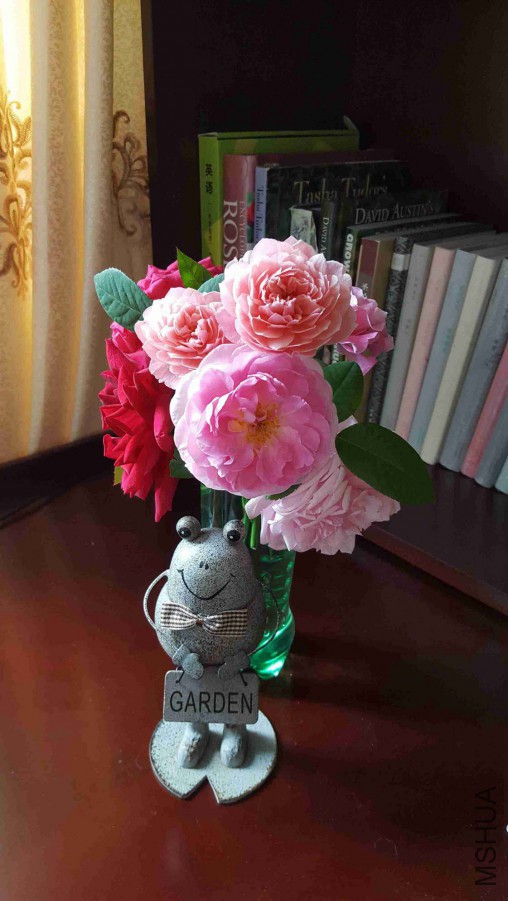 QQͼƬ20150818124351.jpg