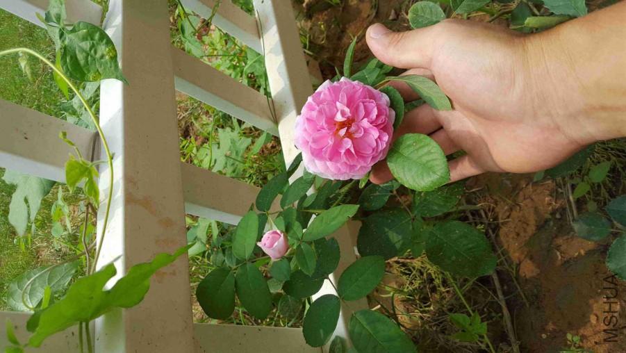 QQͼƬ20150818124421.jpg