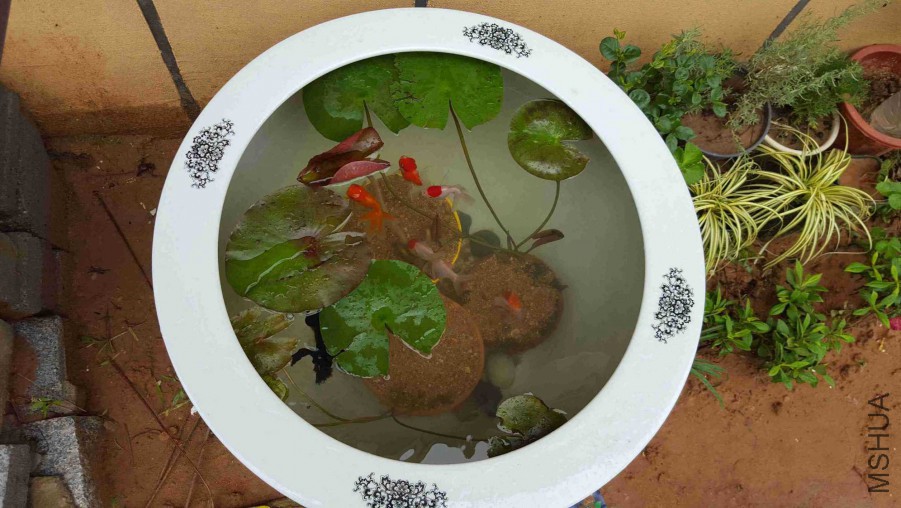 QQͼƬ20150818124446.jpg