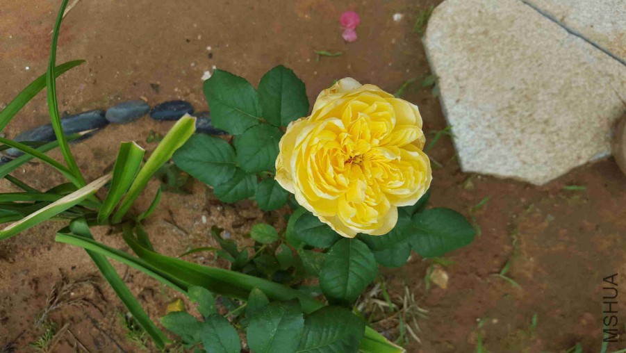 QQͼƬ20150818124453.jpg