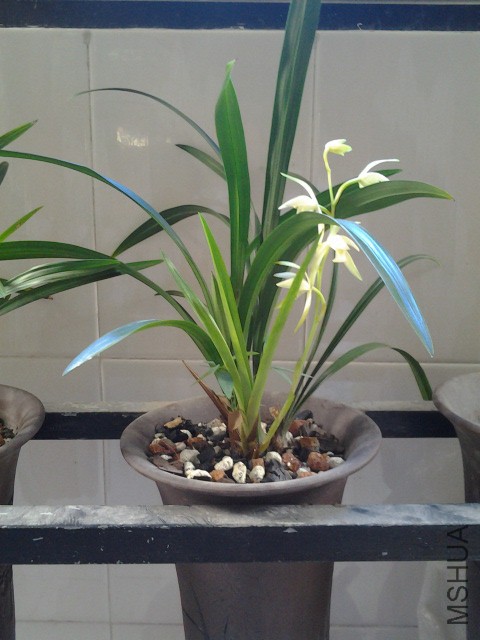 2013-08-19 12.10.06.JPG