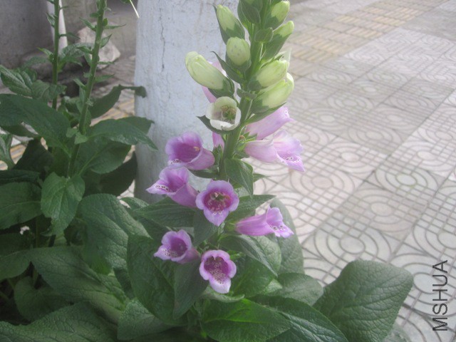 ��Ƭ 6904654.jpg