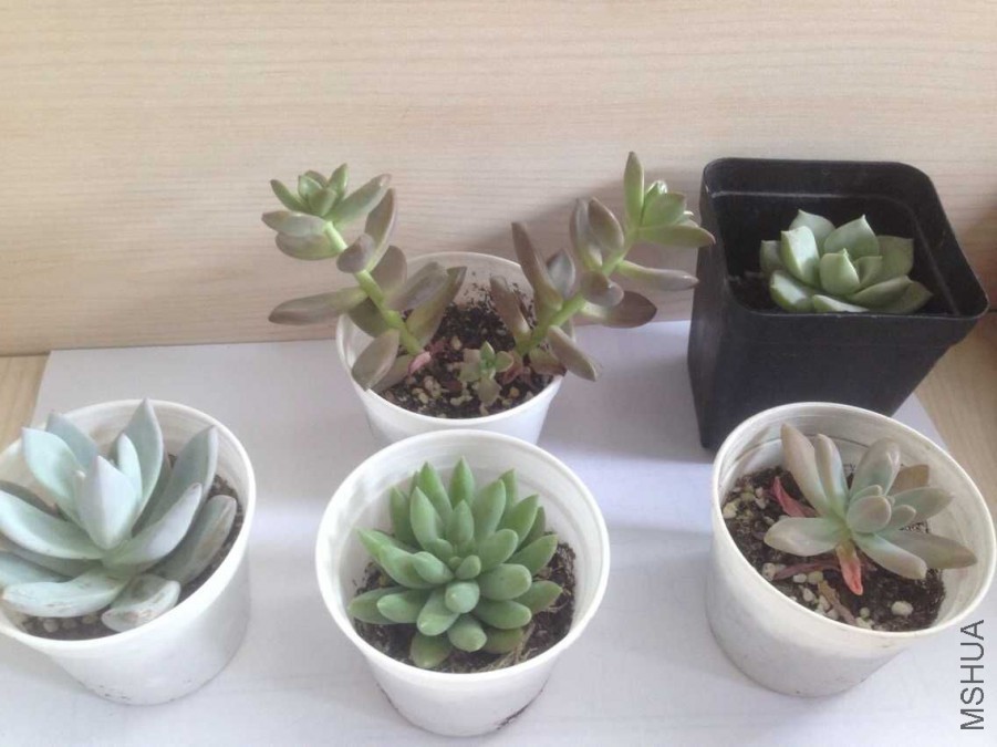 ����������