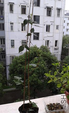 2013-06-24 07.50.26.jpg