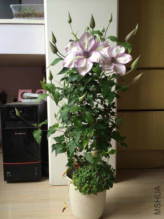 2014.4.27.jpg