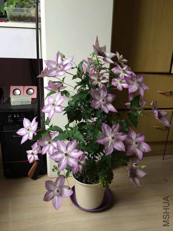 2014.5.13.jpg