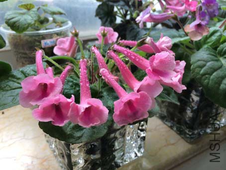 IMG_0492.jpg