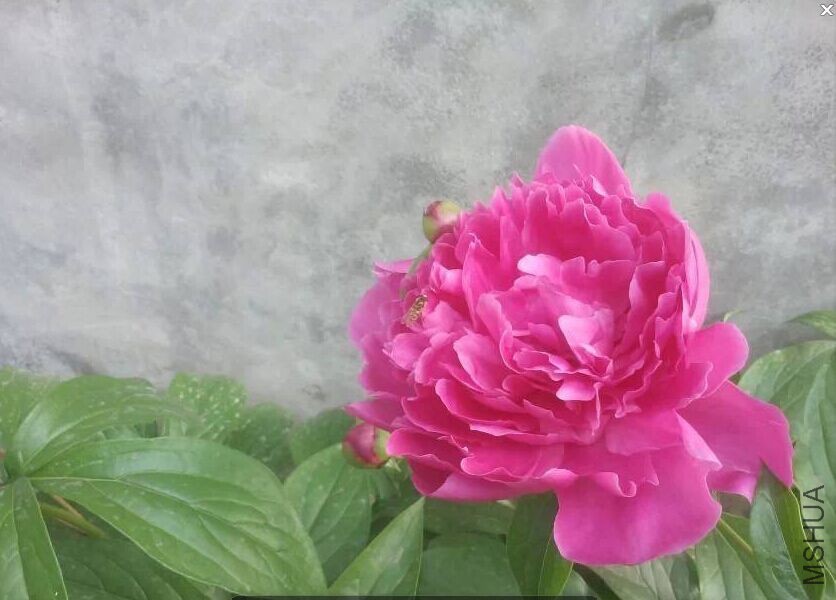 QQͼƬ20150815090849.jpg