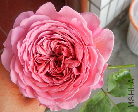 ���ع���~