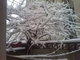 2013-02-19 08.14.18.jpg.JPG