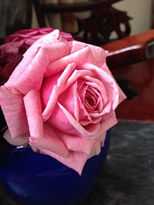 IMG_0352.JPG