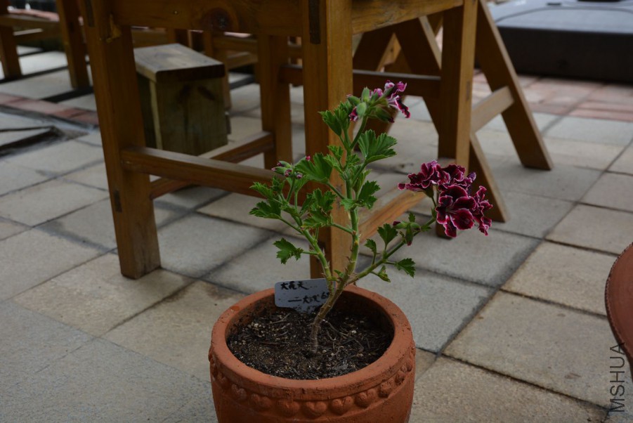 С��  ��688.jpg