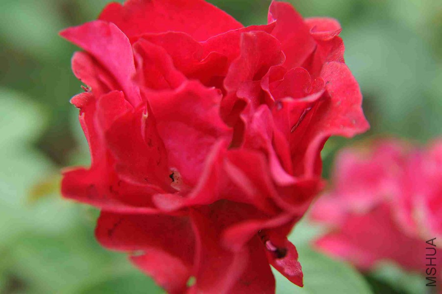 DSC_5559_����.jpg