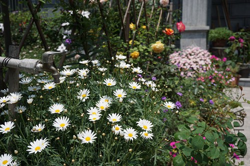 DSC00699_����.jpg