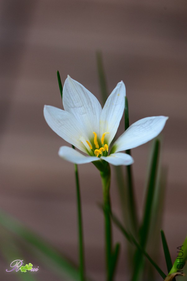 DSC_1186.jpg