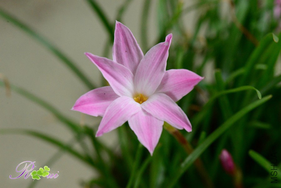 DSC_9750.jpg