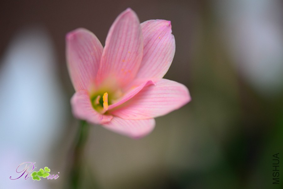 DSC_9836.jpg