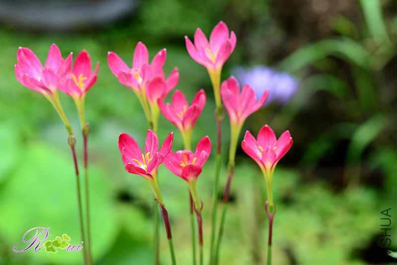 DSC_5367_����.jpg