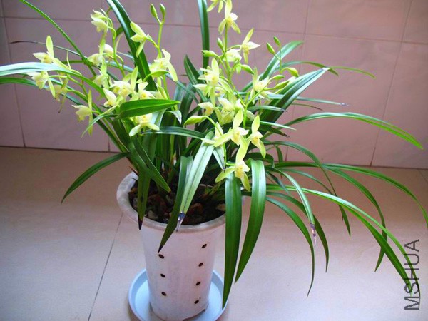 conew_200812713331397279.jpg