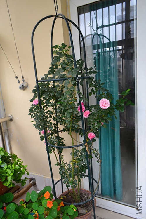 ��Ƭ 040_����_����.jpg