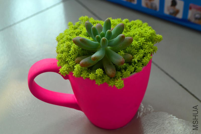 ��Ƭ 063_����.jpg