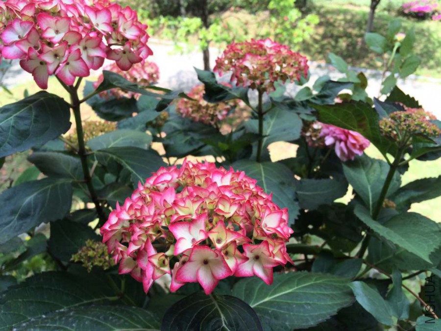 2015������� (3)_1024_768_62.jpg