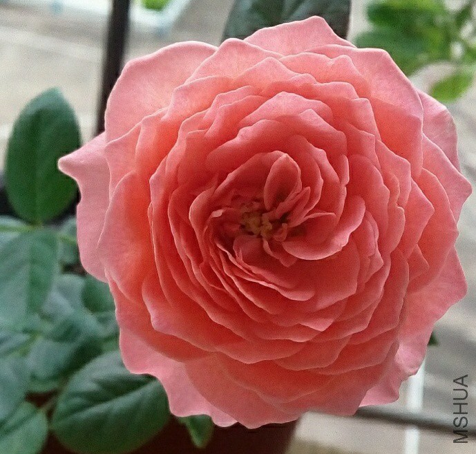 ��֪���¼�