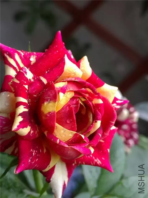 psb (1)_����.jpg