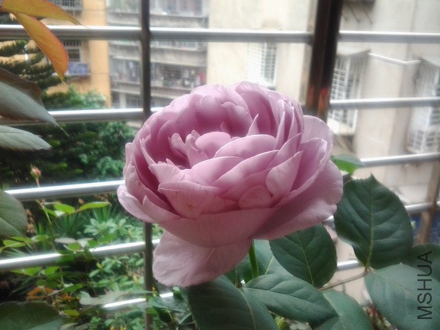 2015-05-01 13.03.43.JPG