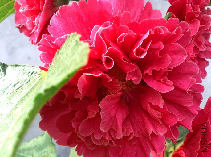 ˮ��ױ�1