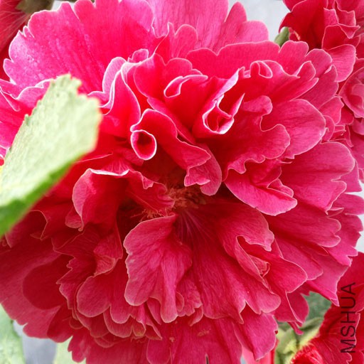 ˮ��ױ�2