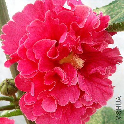 ˮ��ױ�4