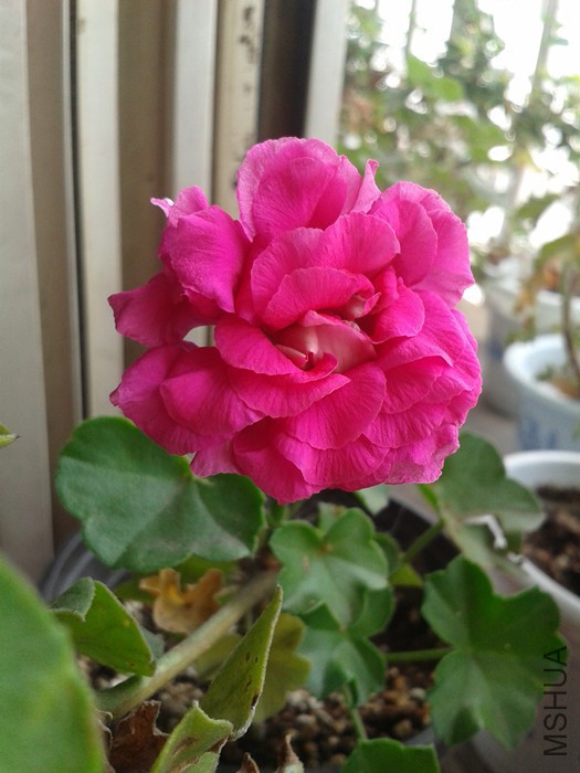 2015-08-16 11.35.44_����.jpg