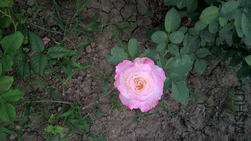WP_20150817_18_07_08_Pro.jpg