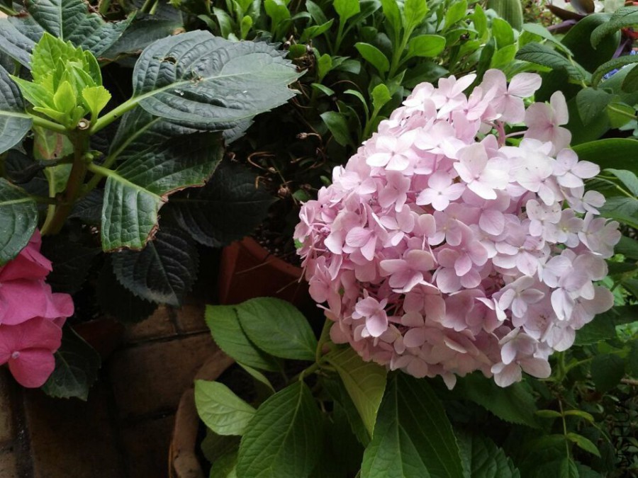QQͼƬ20150818205159.jpg