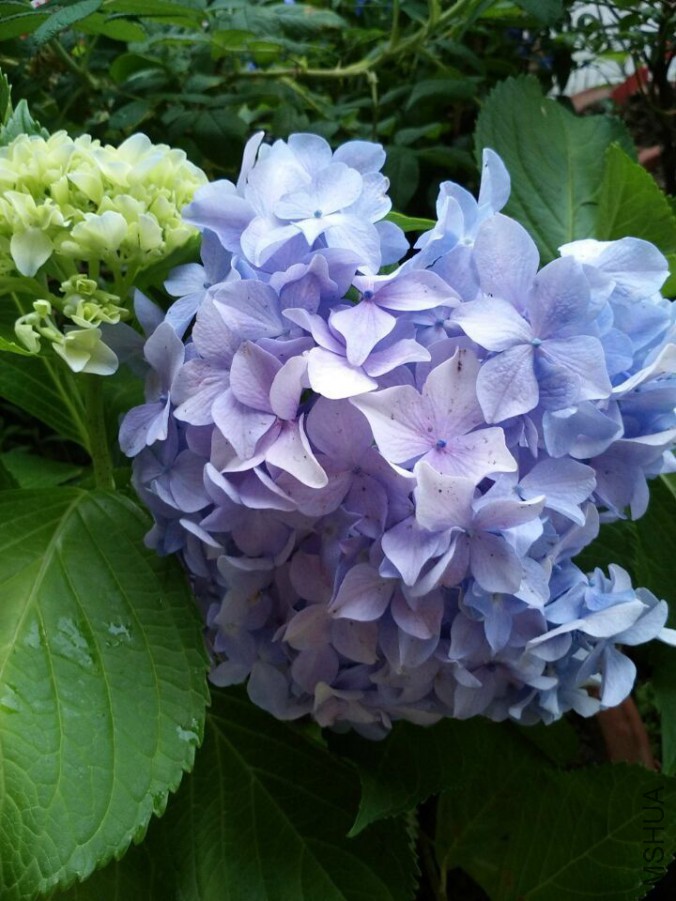 QQͼƬ20150818205204.jpg
