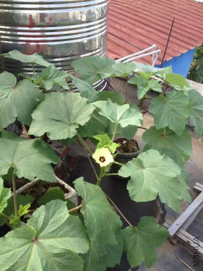 QQͼƬ20150818212403.jpg