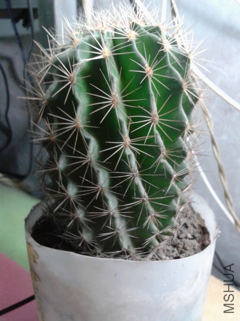 2015-08-18 21.19.58_����.jpg