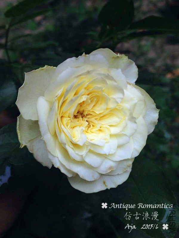 �¹�����156-3.jpg