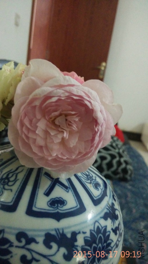 �ҵ��� (3).jpg