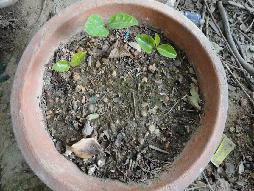 �������ӳ�����3���Ͷ���