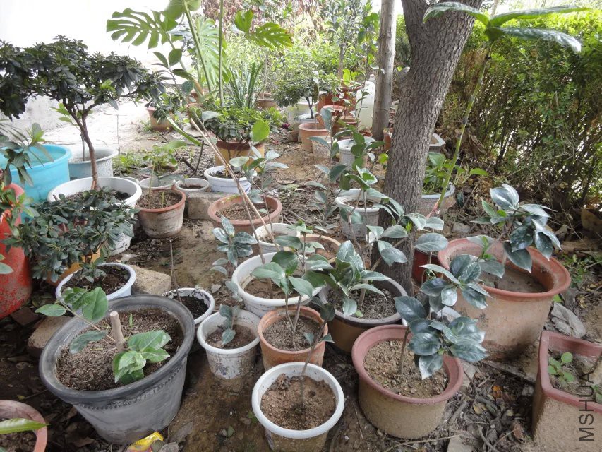 С��������