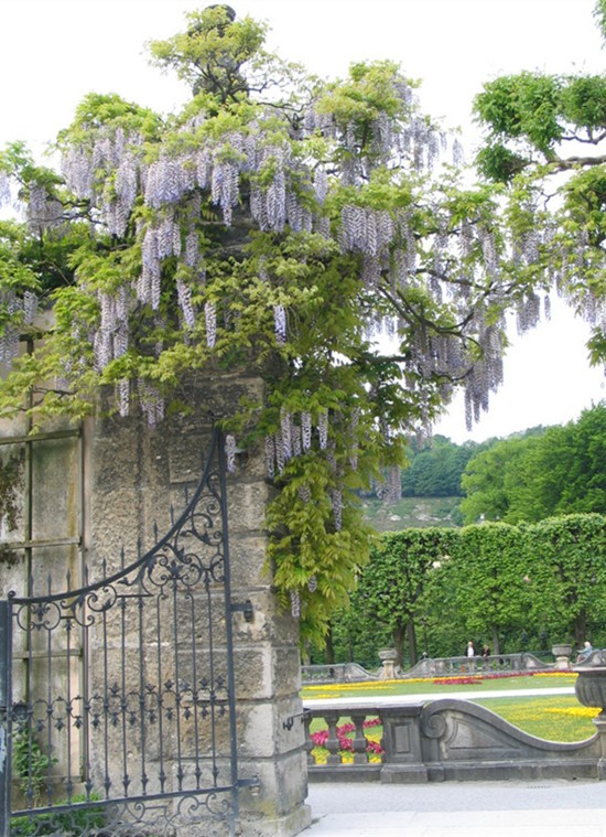 200604 277_��ת_����_����.jpg