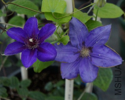 �� ����1.jpg