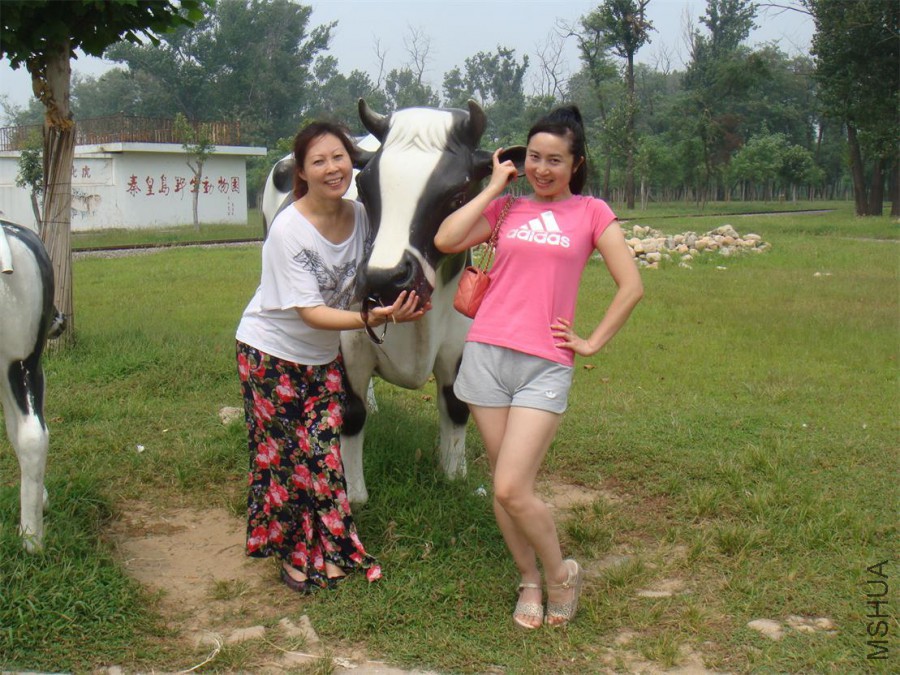 DSC08951_��ͼ��.jpg