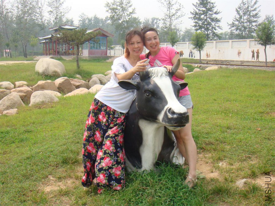 DSC08949_��ͼ��.jpg