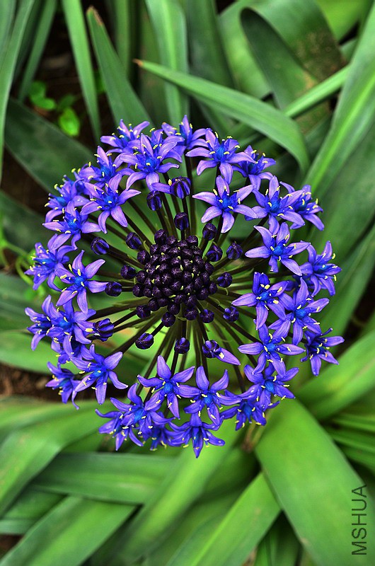 ���к�����������ӻ��� (1).jpg