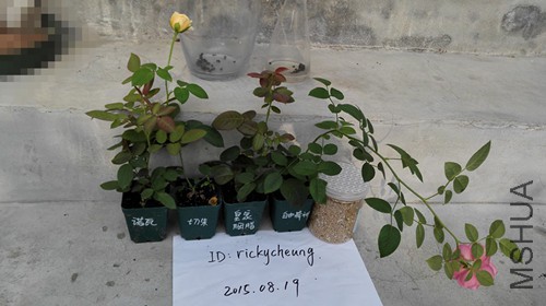 ŵ�ߡ����졢�ʼ���֬�����ɾ���.jpg